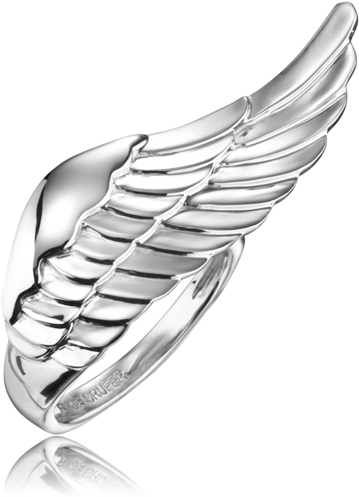 Ring Wing Err-wing (768x768), Png Download