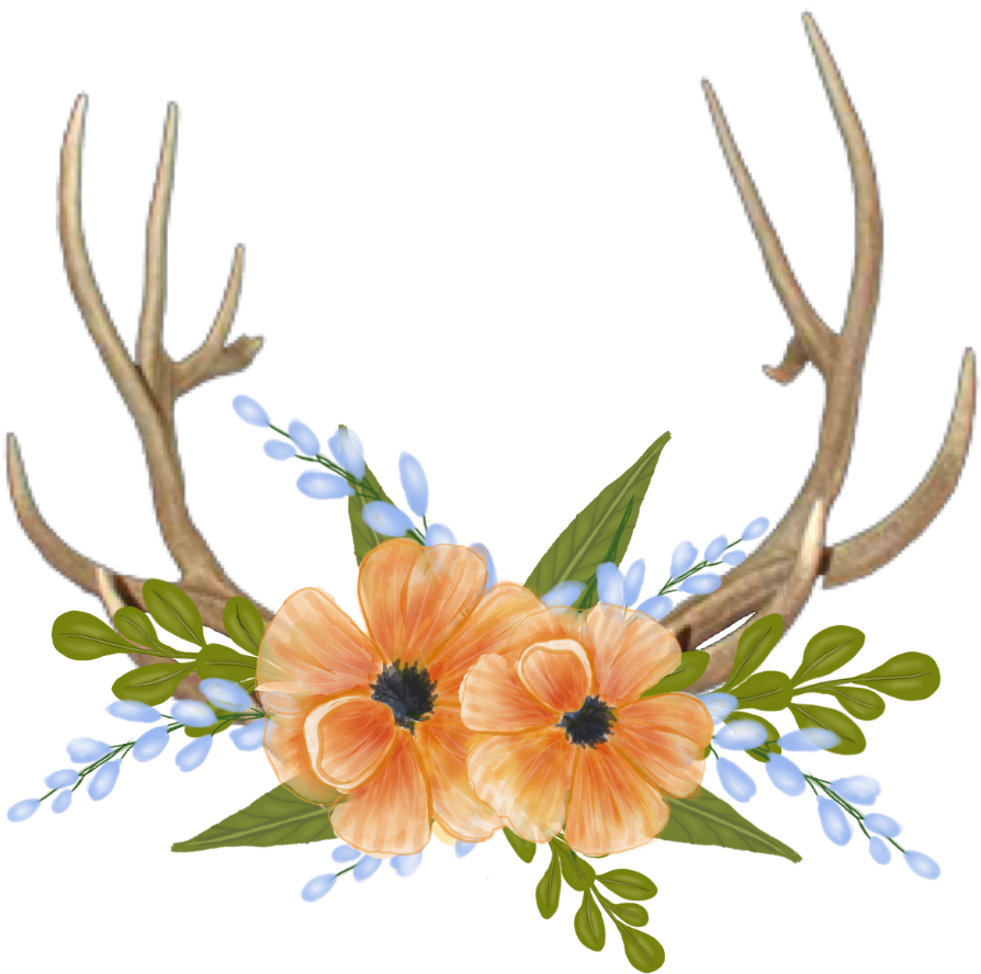 Deer Horns Png (1024x1024), Png Download
