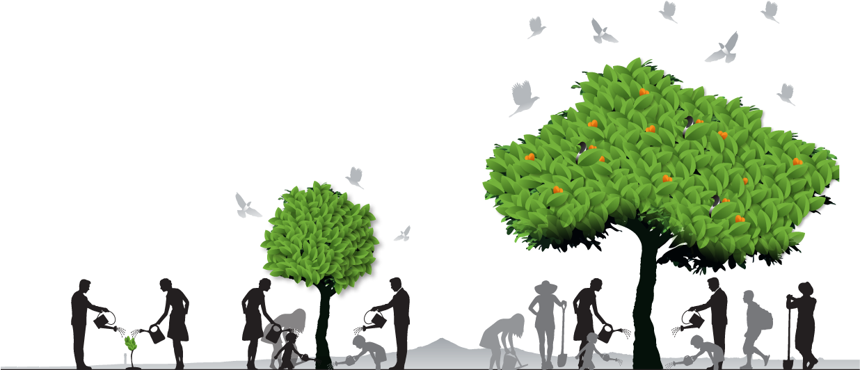 Tree growth