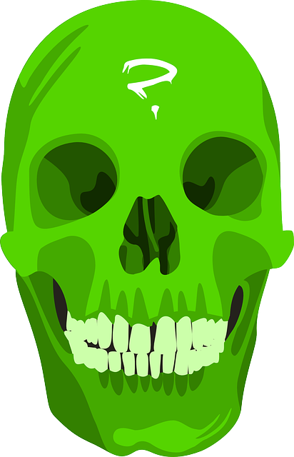 Green, People, Skull, Bones, Halloween - Green Skull Png (412x640), Png Download