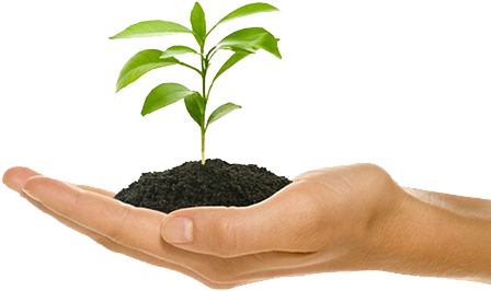 Business Growth Is The Goal Of Every Business Owner - Plant Growth In Hand (470x386), Png Download