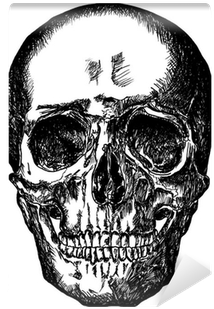 Transparent Library Cursory On White Background Wall - Drawing (400x400), Png Download