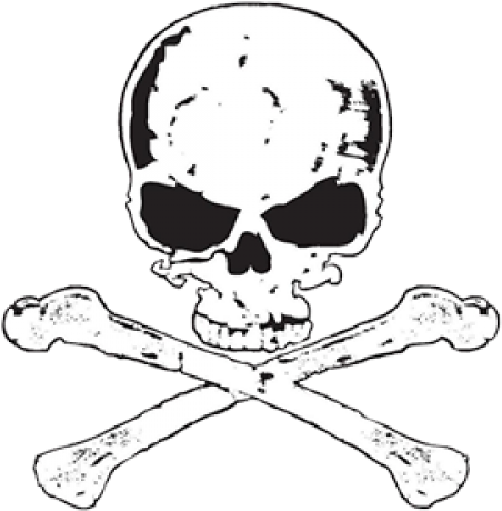 Skull Bones Transparent - Skull (500x500), Png Download
