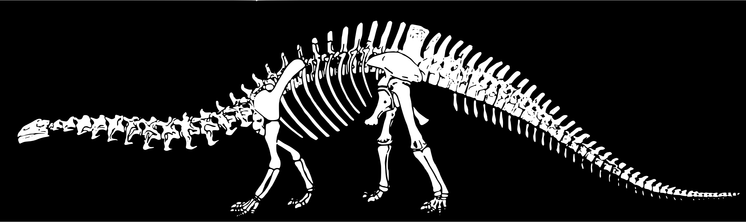 This Free Icons Png Design Of Dinosaur Bones (2400x716), Png Download