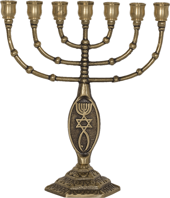 A Lovely Medium Sized Messianic Menorah That Will Fit - Seven Lamps Of Advocacy (650x650), Png Download
