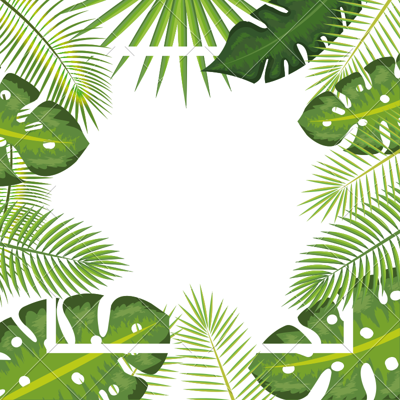 Tropical Leaves Frame Background - Tropical Leaf Frame Png - Free ...