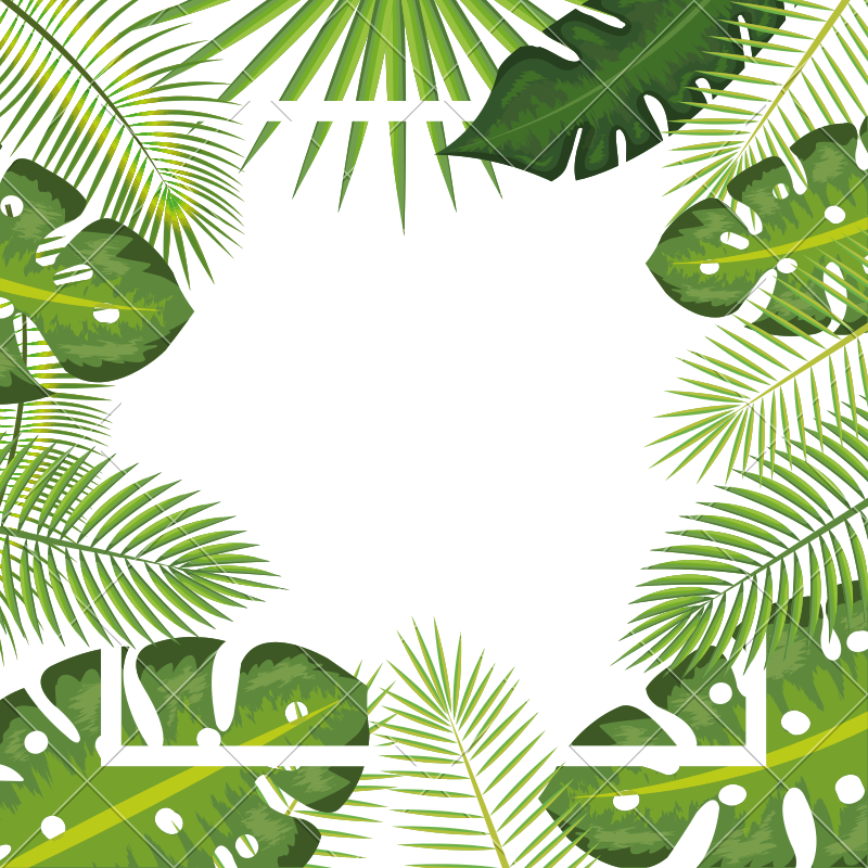 Tropical Leaves Frame Background - Tropical Leaf Frame Png (800x800), Png Download