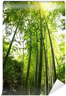 Poster (400x400), Png Download