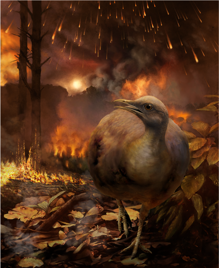 Illustration Of Prehistoric Bird Fleeing Fire After - Did Birds Survive The Mass Extinction (1400x933), Png Download