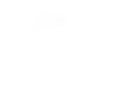 Sun Images - Portable Network Graphics (454x436), Png Download