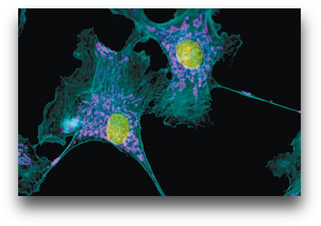 Fluor - Molecule (469x333), Png Download