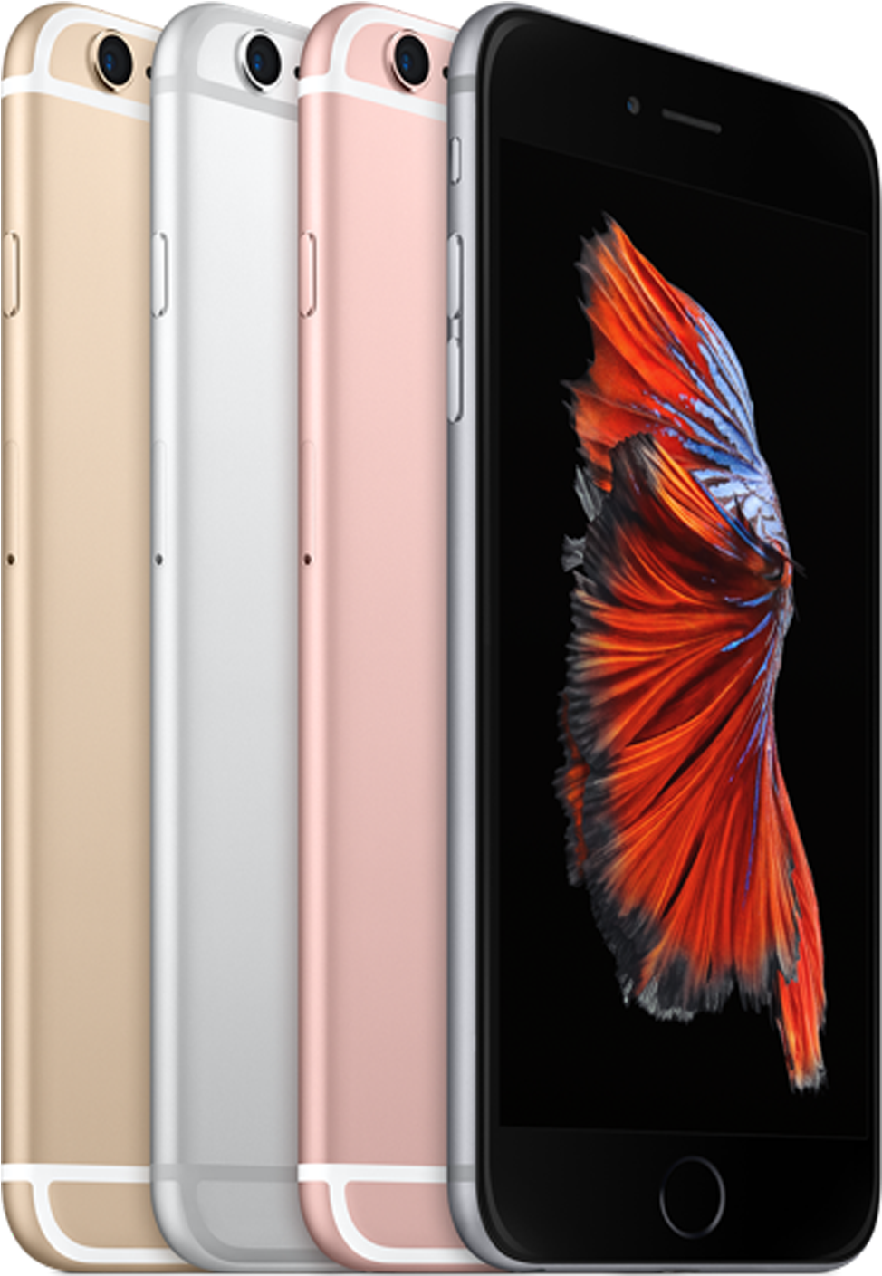 Iphone 6s Png - Iphone 6s Plus Specificatii (1600x1598), Png Download