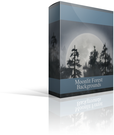 The Moonlit Forest Digital Backgrounds For Photographers - Christmas Tree (672x800), Png Download