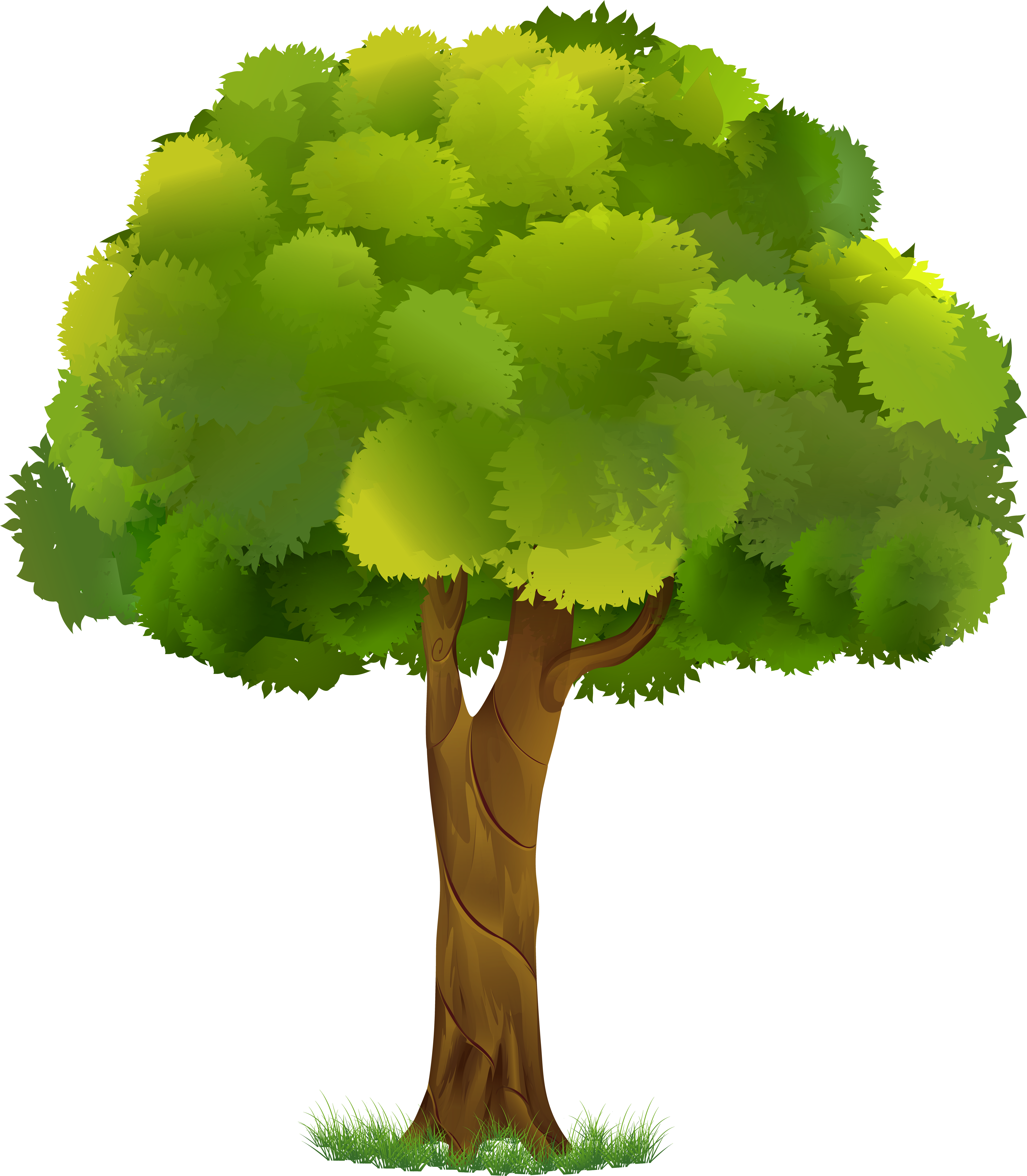 Download Tree Clipart Transparent Background 5 Of - Transparent Background Tree Cartoon PNG Image with No Background Download Tree Clipart Transparent Background 5 Of - Transparent Background Tree Cartoon PNG Image with No Background