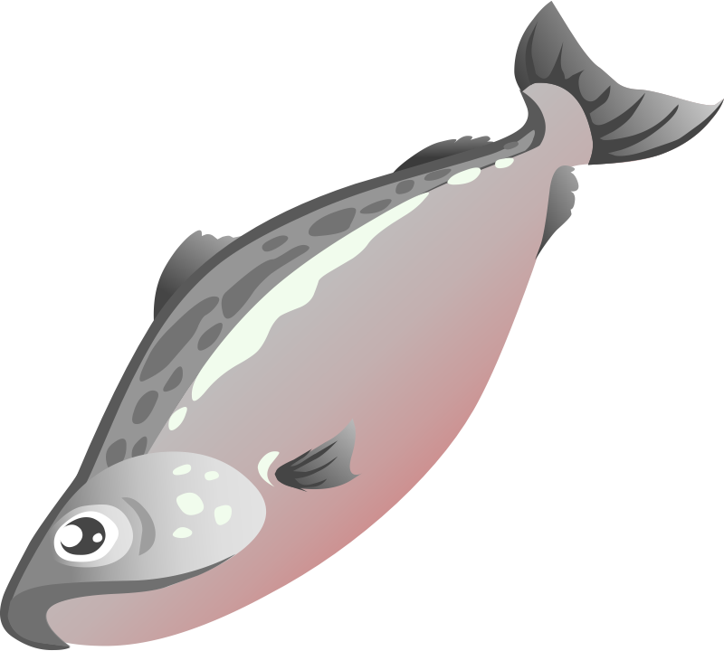 28 Collection Of Cooked Fish Clipart Png - Salmon Clipart Png (800x720), Png Download