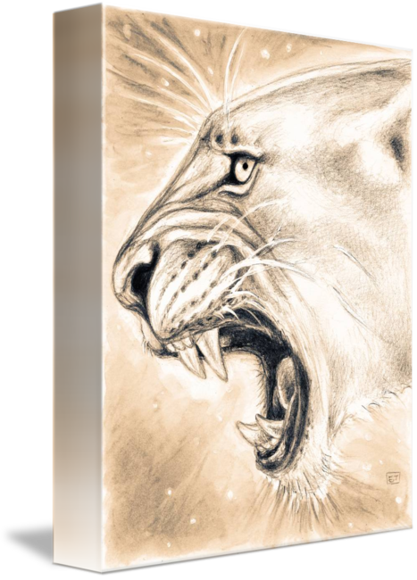 Sepia Drawing Lion - Lioness Roar Ii Shower Curtain (467x650), Png Download