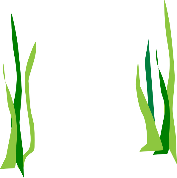Green Reeds Clip Art At Clker - Transparent Background Seaweed Clipart (594x597), Png Download