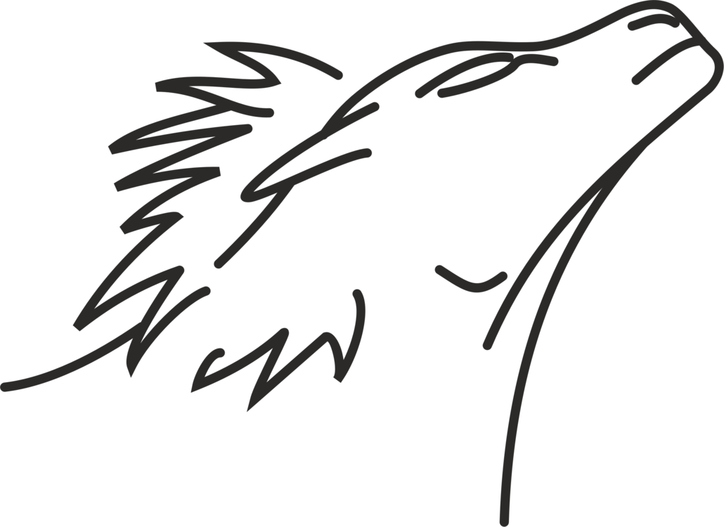 Lion Line Art Drawing Roar - Drawing (1030x750), Png Download