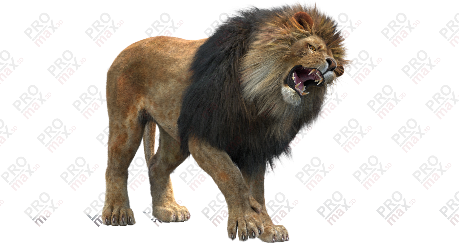 Lion Teeth Png Clip Art Transparent (1536x830), Png Download