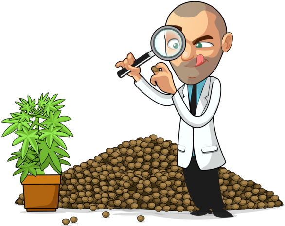 Grew In Popularity I Gathered Fellow Breeders To Bring - Cannabis Cultivation (600x600), Png Download