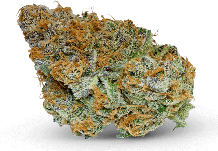 Jilly Bean - Haze (700x523), Png Download