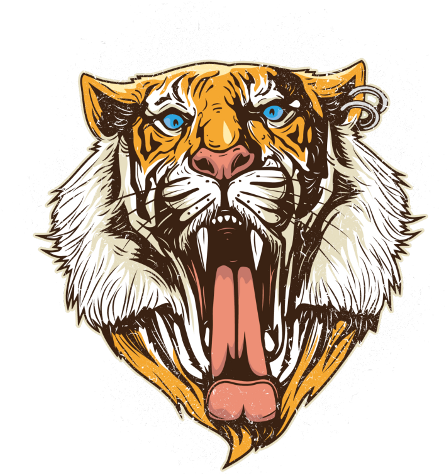 Tiger Head Png (480x480), Png Download