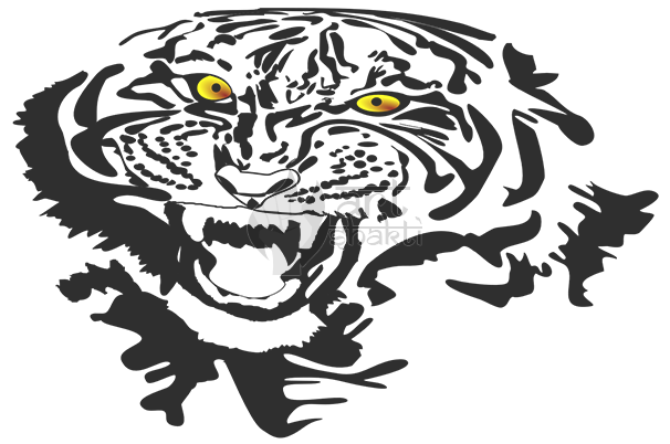 Tiger Eyes Attack - Siberian Tiger (606x402), Png Download