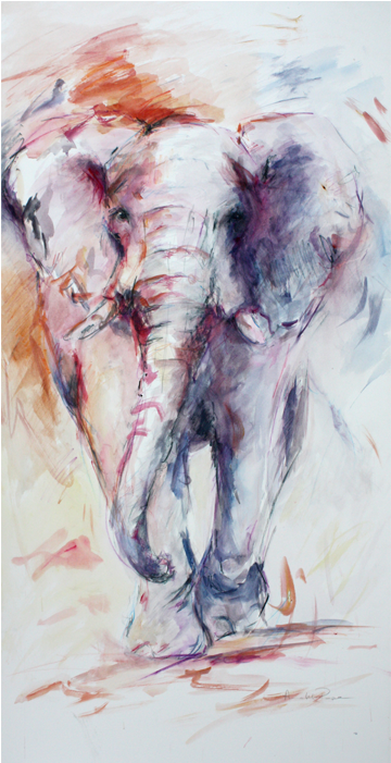 Elephant Explosion - Visual Arts (700x700), Png Download