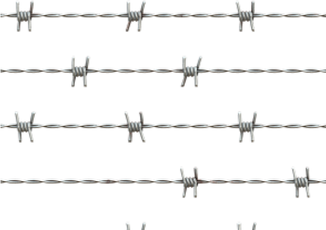 Barbwire Png Transparent Images - Galvanized Barbed Wire Png (640x480), Png Download