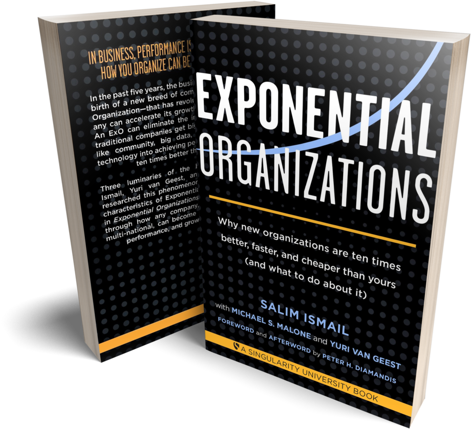 Exoorgs-book - Exponential Organizations: New Organizations Are Ten (1000x909), Png Download