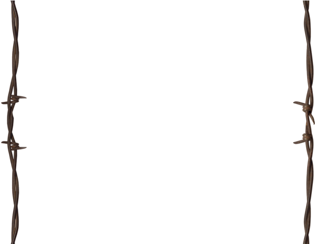 Barbed X Carwad Net - Barbed Wire (640x480), Png Download