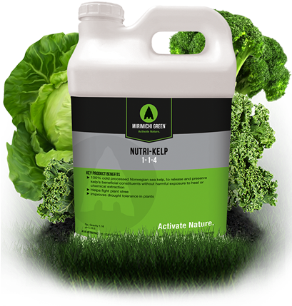 Nutri Kelp - Mirimichi Green Nutri-turf Liquid Foliar Fertilizer (408x450), Png Download
