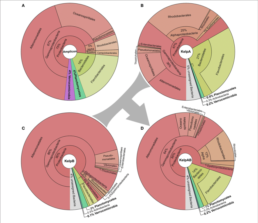 Taxonomic Composition Of The Kelp Biofilm Community - Bacteria (850x736), Png Download