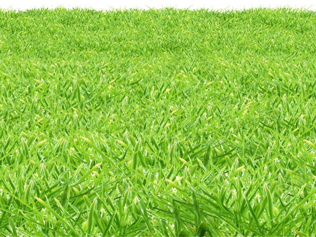 Lawn (640x480), Png Download