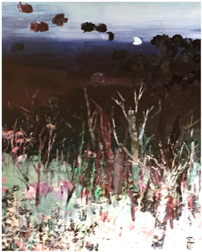 Sabal Palmetto (594x354), Png Download