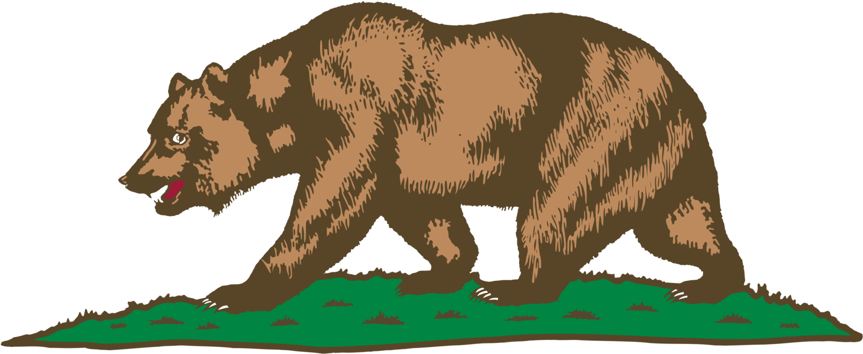 California Grizzly Bear California Grizzly Bear Drawing - California Flag (1749x750), Png Download