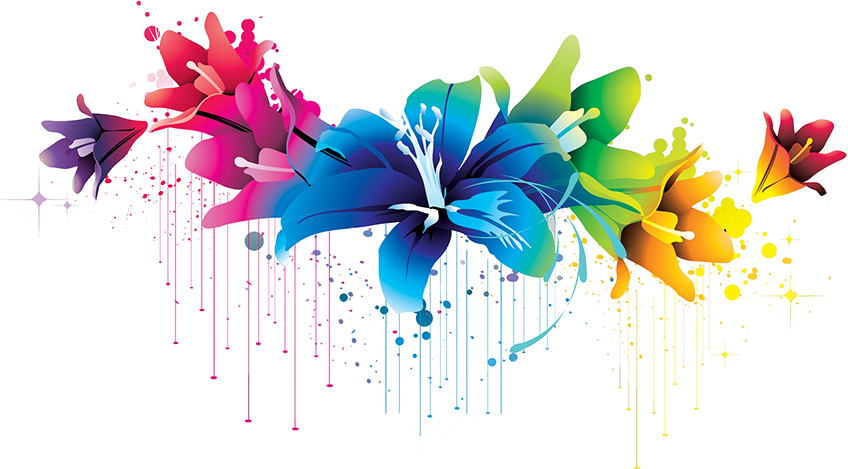 Adobe - Transparent Flower Design Png (848x469), Png Download