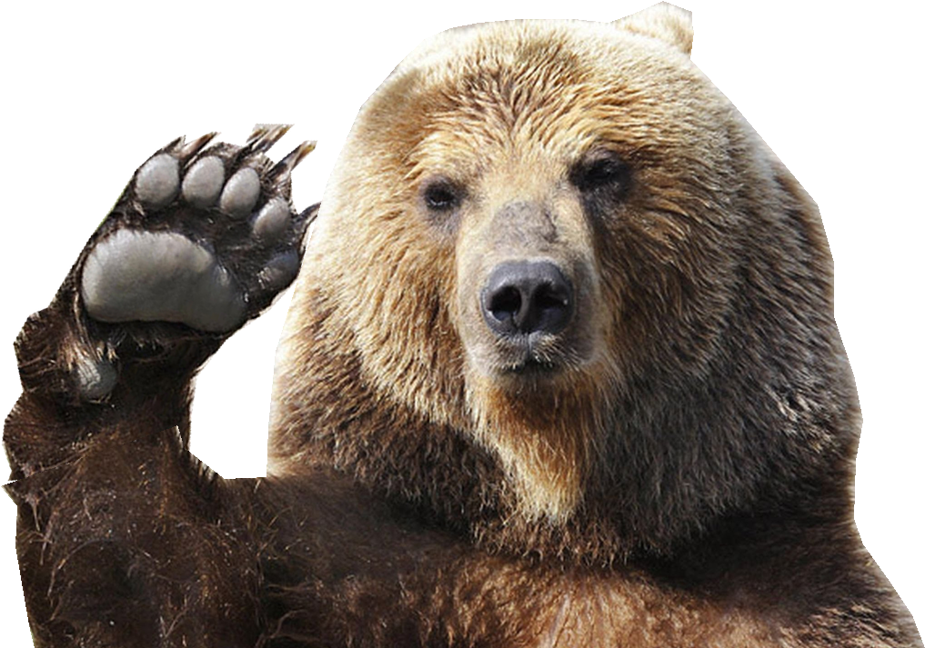 My Bear Gif - Tirecoverpro Waving Brown Grizzly Bear Paw Wave Wildlife (1290x712), Png Download