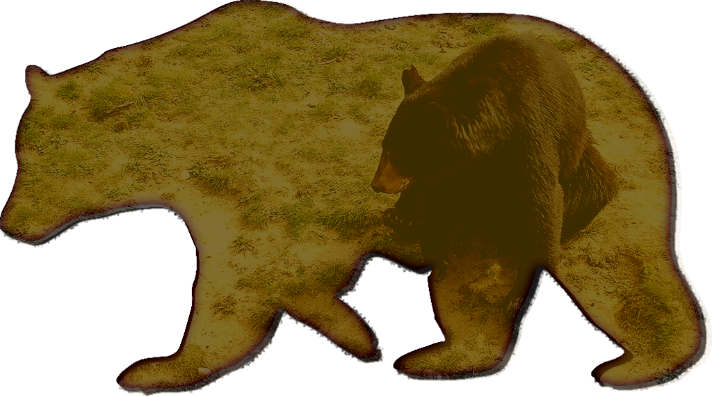 Visitors Can Experience Black Bears Up Close Without - Bear Stencils (1024x571), Png Download