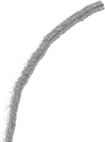 Dundjinni Mapping Software - Skid Marks Road Png (390x487), Png Download