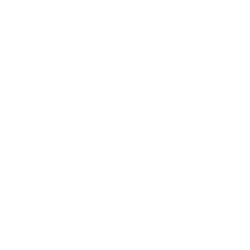 Grizzly Bear Decal (1000x1000), Png Download
