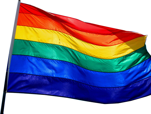 Download Rainbow Flag Png File - Gay Flag Transparent Background PNG Image  with No Background 