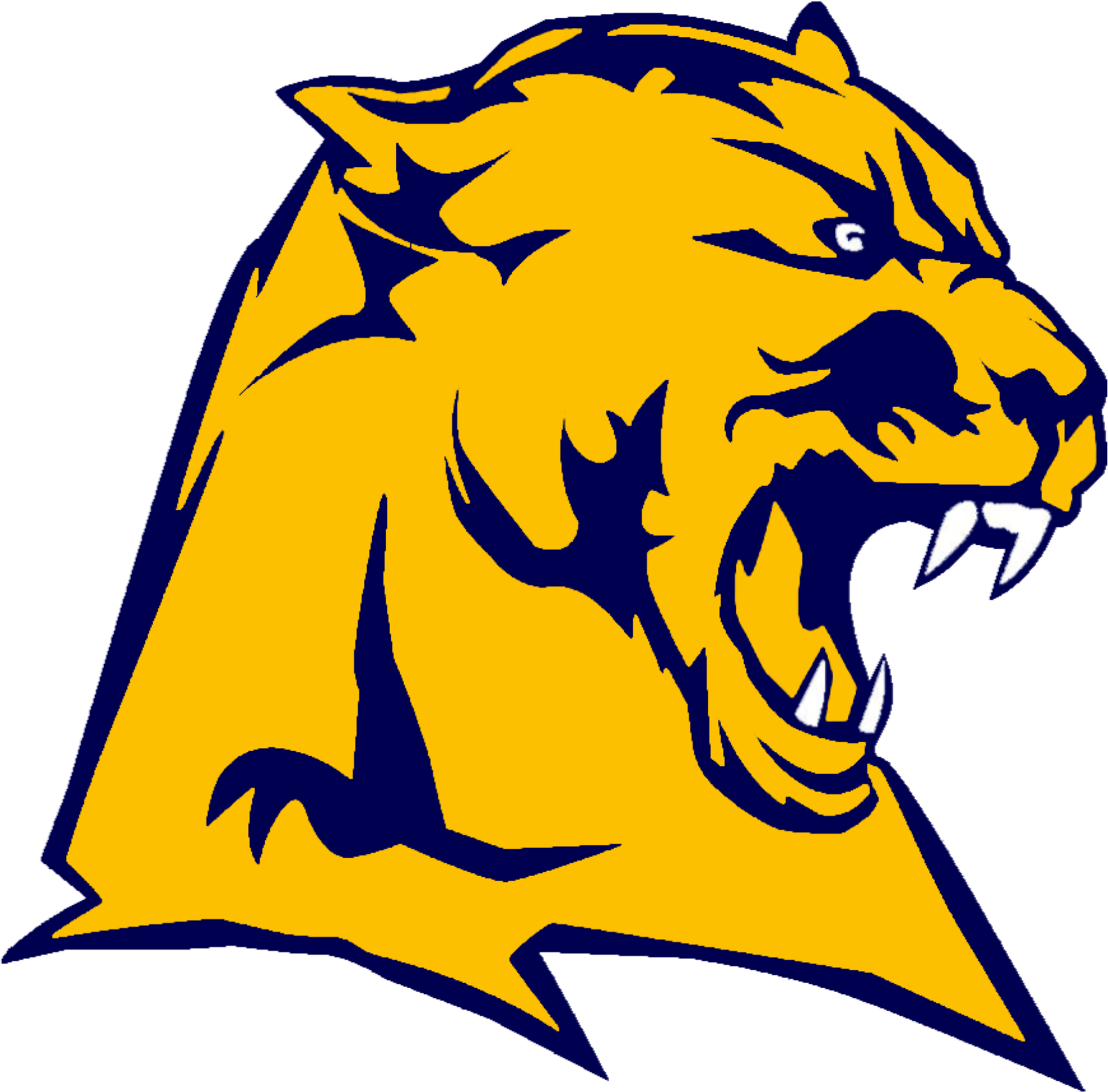 Open - Whitmer High School Logo (2000x2031), Png Download