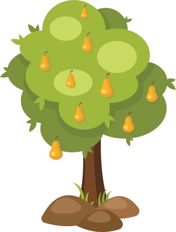 Fruit Tree Branch Asian Pear - Pear Tree Clipart (570x750), Png Download