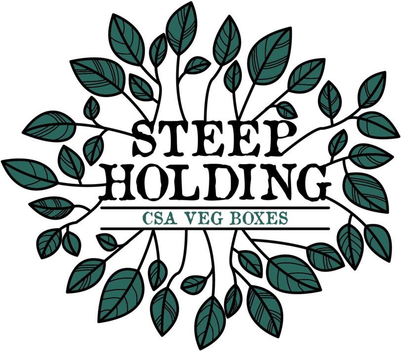 Logo Fruit Trees - Newton Wonder (397x336), Png Download