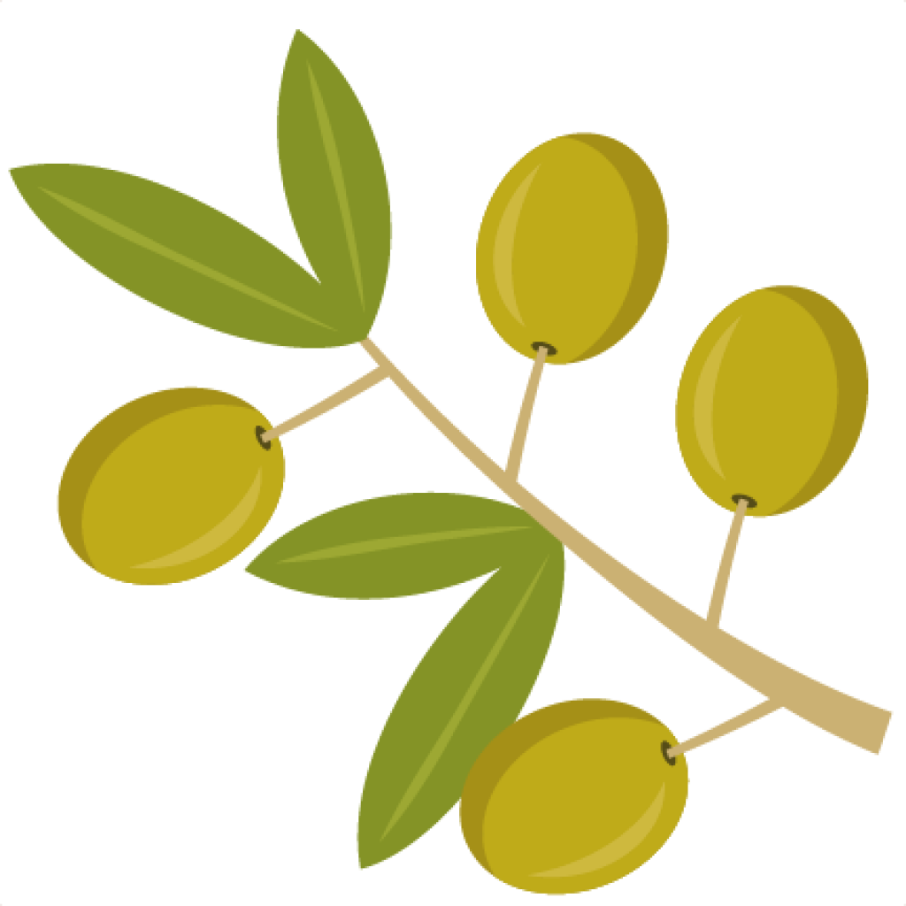 Watercolor Olive Branch Png - Olive Clipart Png (432x432), Png Download