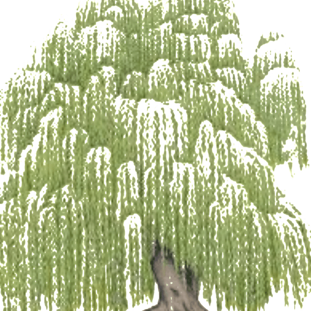 Willow Tree Acupuncture And Wellness - Willow Tree Acupuncture And Wellness, Llc (638x638), Png Download