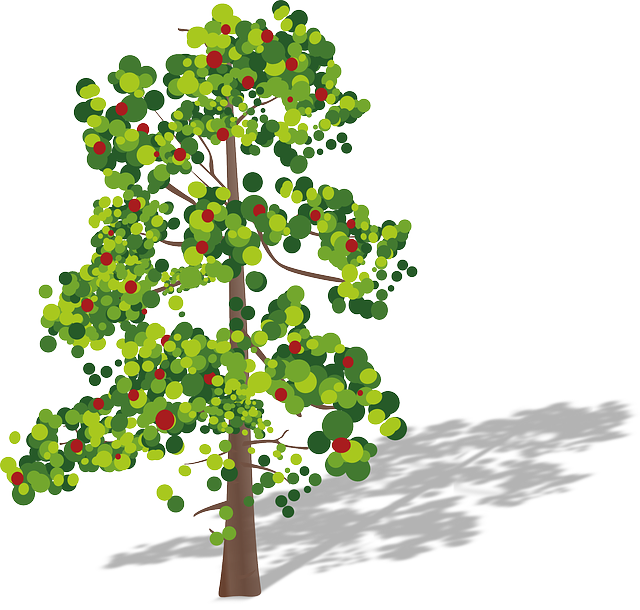 Tree, Fruits, Green, Red, Leaves, Apple Tree - Oxygen Carbon Dioxide Cycle Blank (640x610), Png Download