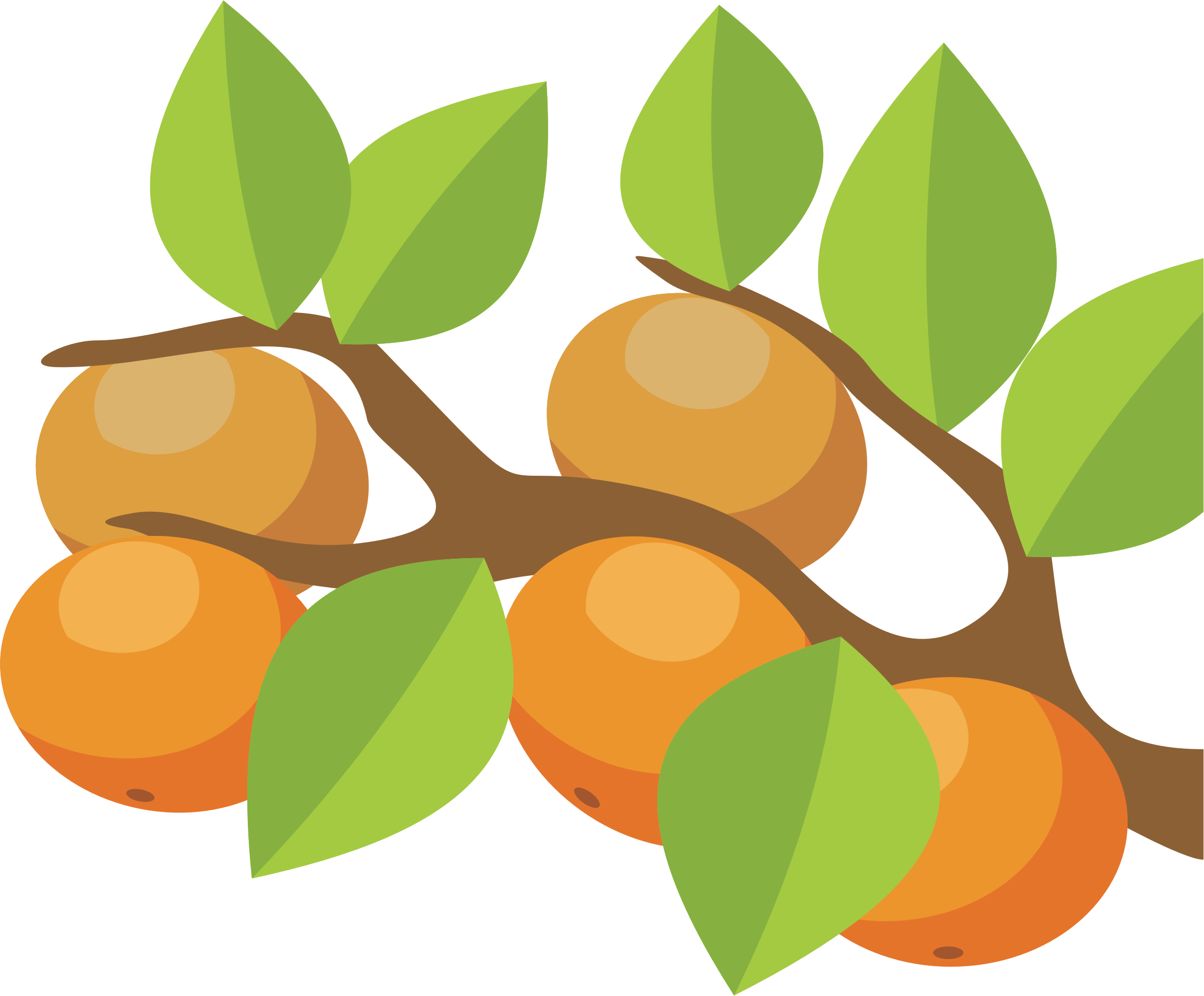 Orange Tree Png - Orange Tree Clip Art (2381x1970), Png Download