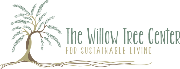 White Pine (595x229), Png Download